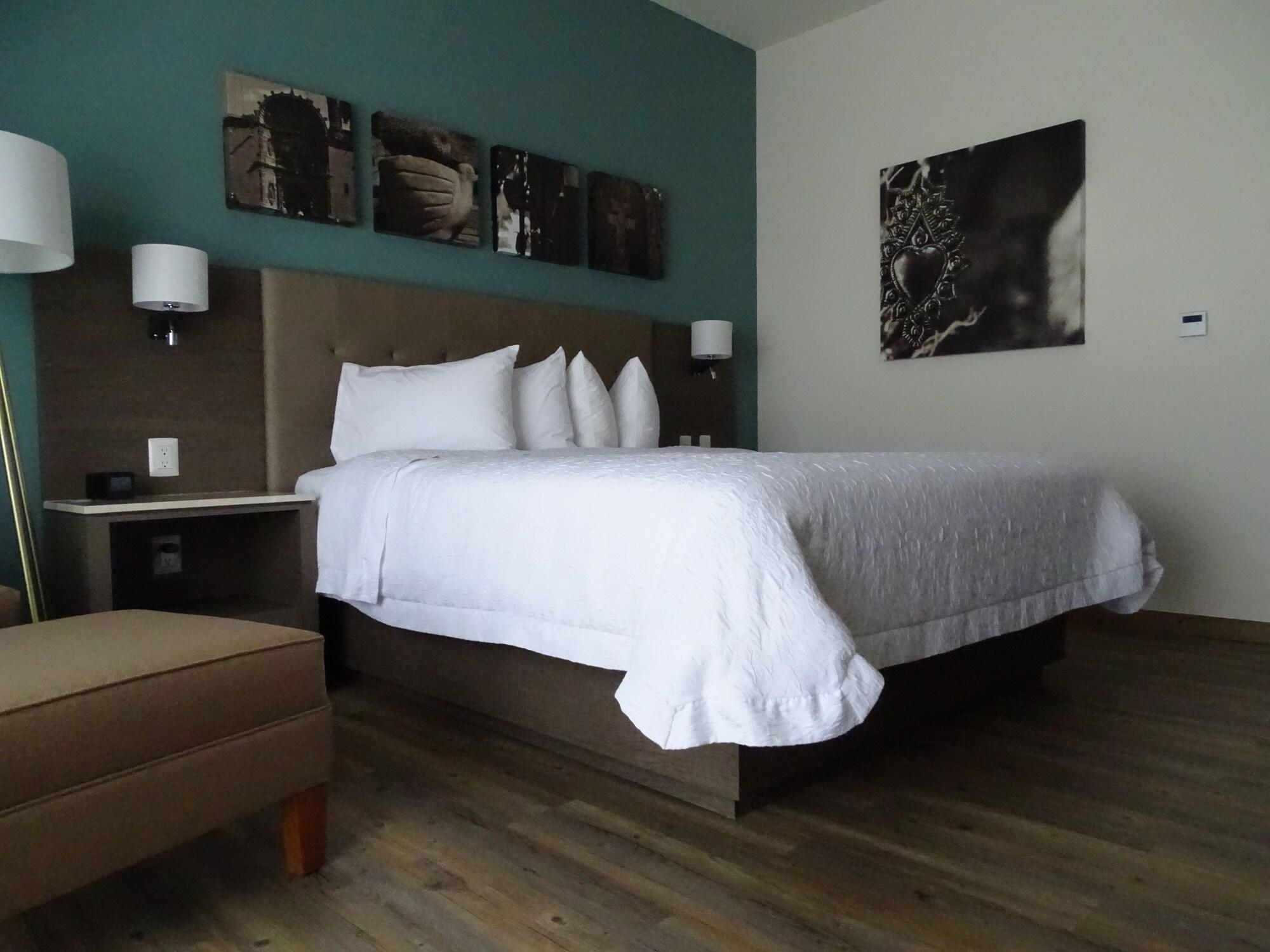 Hampton Inn By Hilton Celaya Extérieur photo